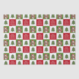 Niedliches Begleiter Foto Roter Grüner Weihnachtsb Seidenpapier