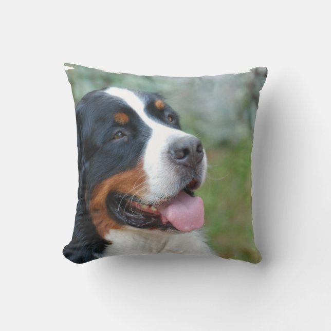 Niedliches Bernese Kissen (Vorderseite)