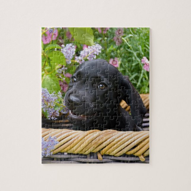 Niedliches Black Labrador Retriever Doppy Pet Foto (Vertikal)