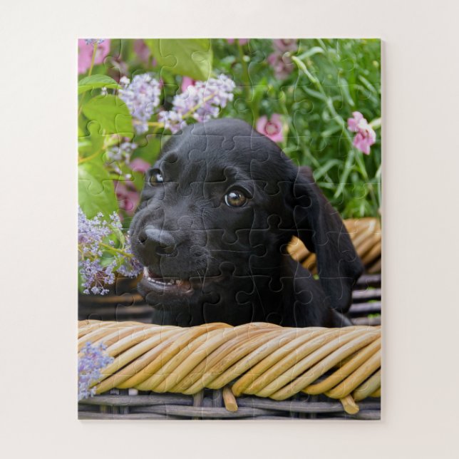 Niedliches Black Labrador Retriever Doppy Pet Foto (Vertikal)