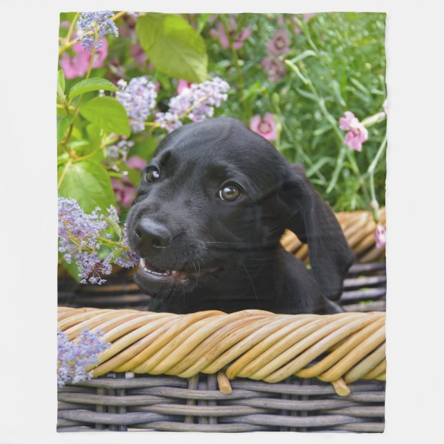 Niedliches Black Labrador Retriever Doppy Pet Foto Fleecedecke (Vorderseite)
