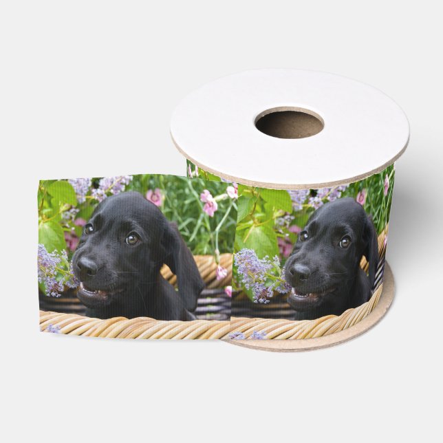 Niedliches Black Labrador Retriever Doppy Pet Foto Ripsband (Spule)