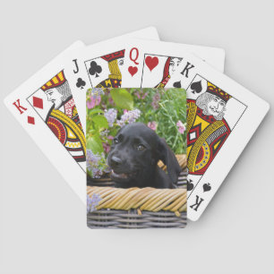 Niedliches Black Labrador Retriever Doppy Pet Foto Spielkarten
