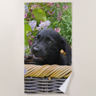 Niedliches Black Labrador Retriever Doppy Pet Foto Strandtuch