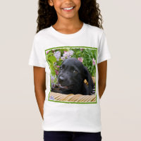 Niedliches Black Labrador Retriever Doppy Pet Foto