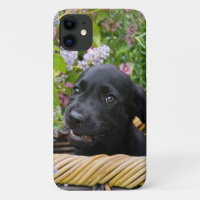 Niedliches Black Labrador Retriever Doppy Puppy Fo
