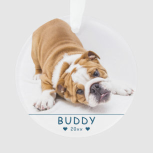Niedliches blaues Hund- oder Heimtiergerät Foto Ornament