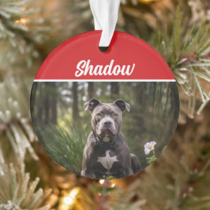 Niedliches Bluenose Pitbull Dog Weihnachtsfest Fot Ornament