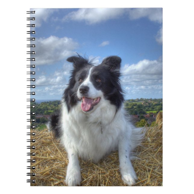 Niedliches Border Collie Dog Foto Notizblock (Vorderseite)