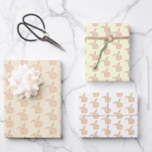 Niedliches Braun Bunny Rabbit - transparente Muste Geschenkpapier Set