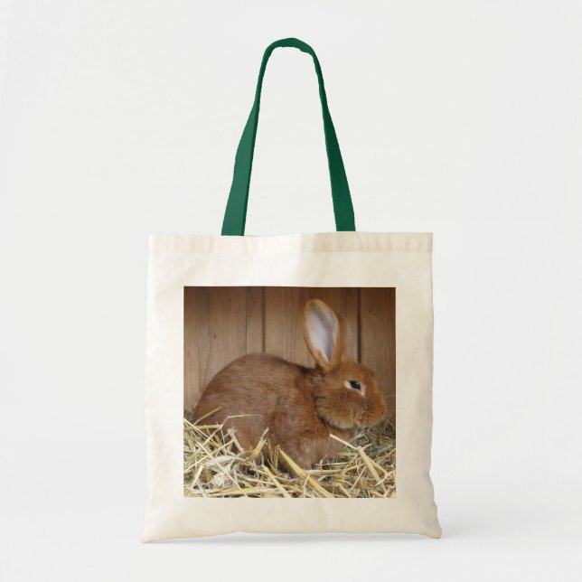 Niedliches braunes Kaninchen in Fresh Hay Tragetasche (Vorne)