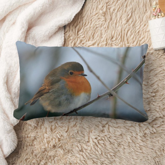 Niedliches Brust-Vogel-Foto Robins rotes Lendenkissen (Decke)