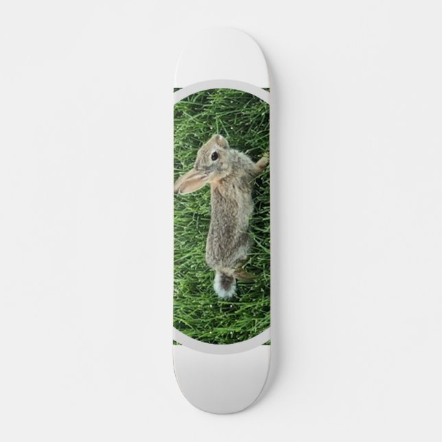 Niedliches Bunny Rabbit Skateboard (Vorne)