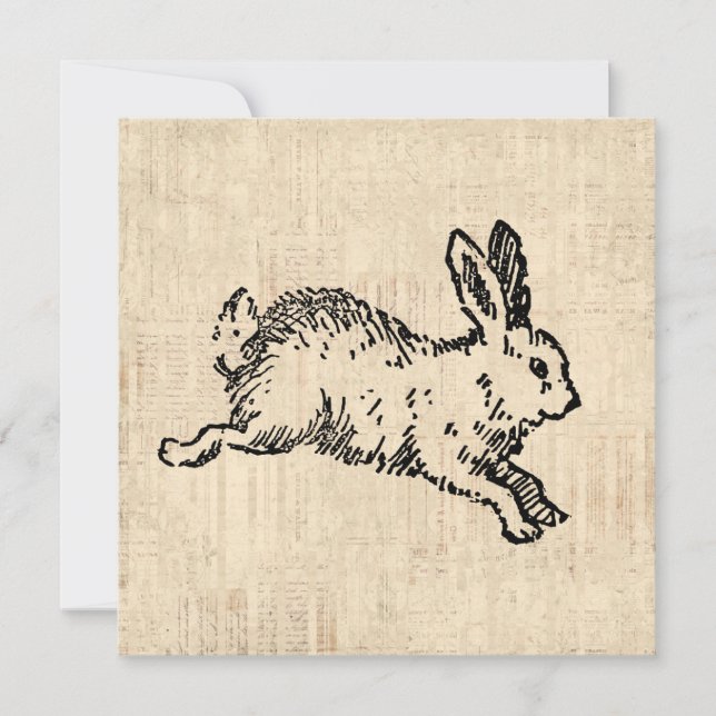 Niedliches Bunny Rabbit Vintage Illustration Einladung (Vorderseite)