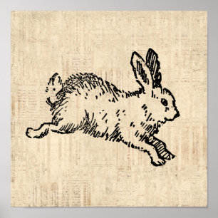 Niedliches Bunny Rabbit Vintage Illustration Scrip Poster