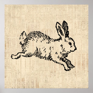 Niedliches Bunny Rabbit Vintage Illustration Scrip Poster