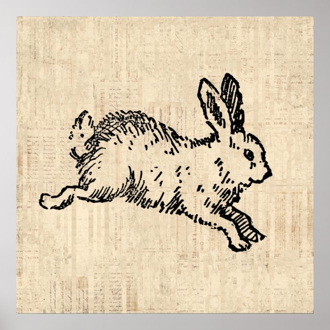 Niedliches Bunny Rabbit Vintage Illustration Scrip Poster (Vorne)