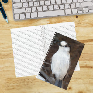 Niedliches Canada Jay Nature Foto Notizbuch
