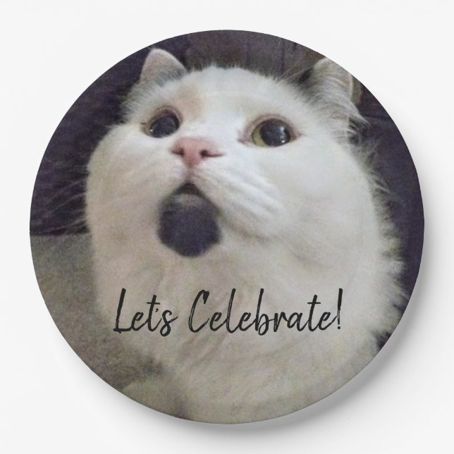 Niedliches Cat Birthday Party Custom Pet Foto Pappteller (Vorderseite)