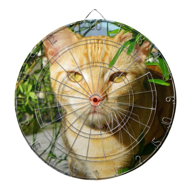 Niedliches Cat Dartboard! Dartscheibe (vorne)