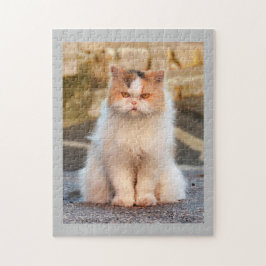 Niedliches Cat Foto Personalisiert