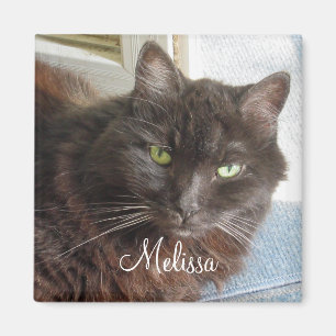Niedliches Cat Foto Personalisiert White Script Magnet