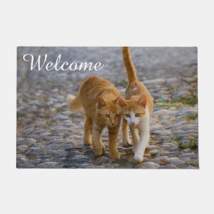 Niedliches Cat Kittens Friends Stony Path Foto Wil Fußmatte