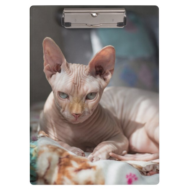 Niedliches Cat Lounges ohne Pelz Klemmbrett (Vorderseite)