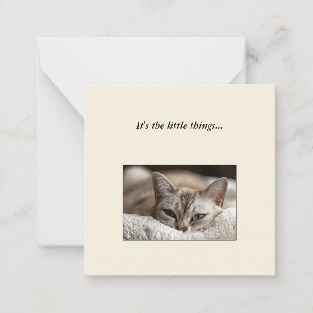 Niedliches Cat Mini Vielen Dank Note Card Mitteilungskarte (Vorderseite)