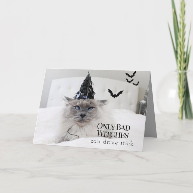 Niedliches Cat Witz Halloween Karte (Vorderseite)