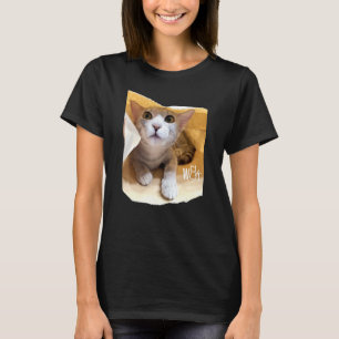Niedliches Cat-Zeug für Katzen Mädchen Frauen Jung T-Shirt