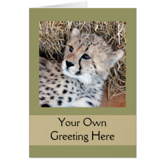 Niedliches Cheetah Cub Foto