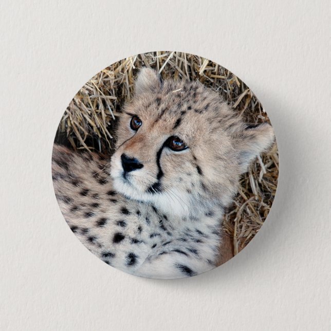 Niedliches Cheetah-CUB-Foto Button (Vorderseite)