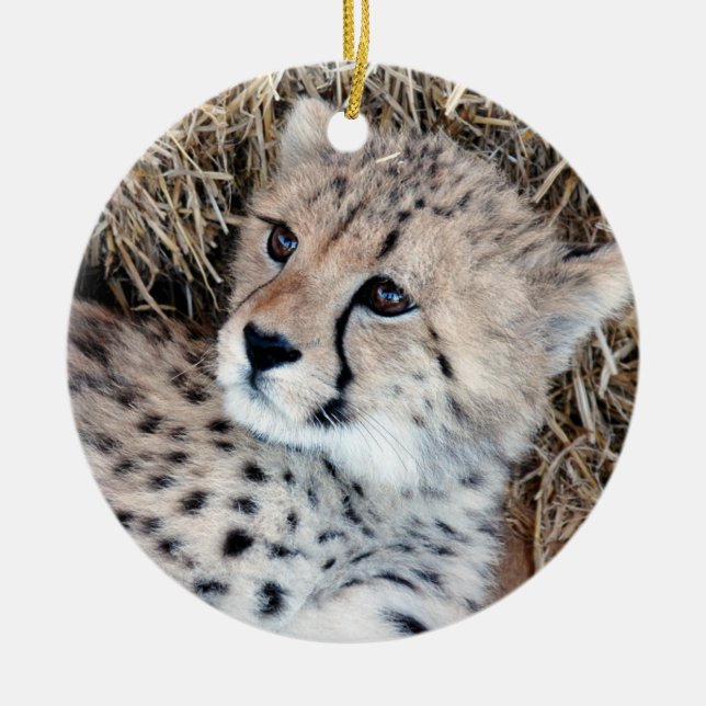 Niedliches Cheetah-CUB-Foto Keramikornament (Vorne)