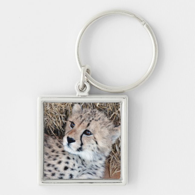 Niedliches Cheetah-CUB-Foto Schlüsselanhänger (Vorne)