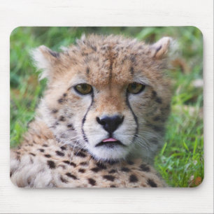 Niedliches Cheetahjungsporträt Mousepad