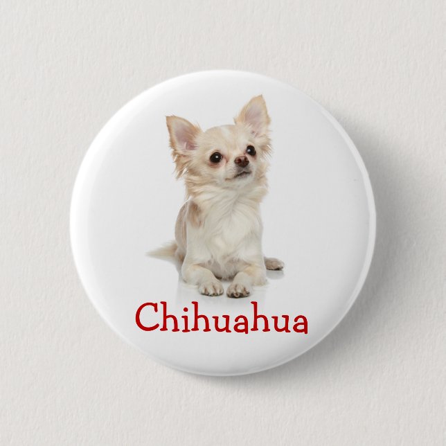Niedliches Chihuahua Button-Button Button (Vorderseite)