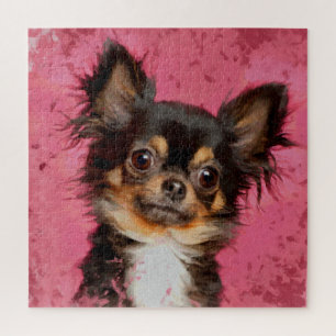 Niedliches Chihuahua-Portrait auf pastel fuchsia