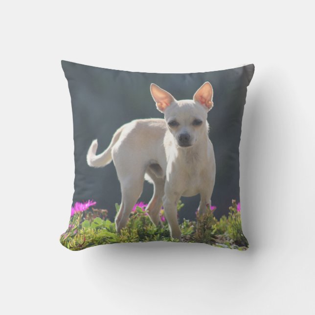 Niedliches Chihuahuha im Blumenbett Kissen (Vorderseite)