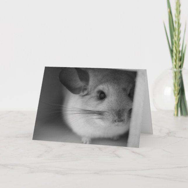 Niedliches Chinchilla Karte (Vorderseite)
