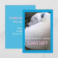 Niedliches Chubby White Sleeping Puppy Doppy Slumb