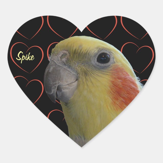 Niedliches Cockatiel und Herz Herz-Aufkleber (Vorderseite)
