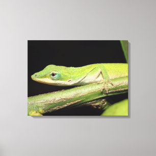 Niedliches cooles entzückendes Spaß-Grün Anole Leinwanddruck