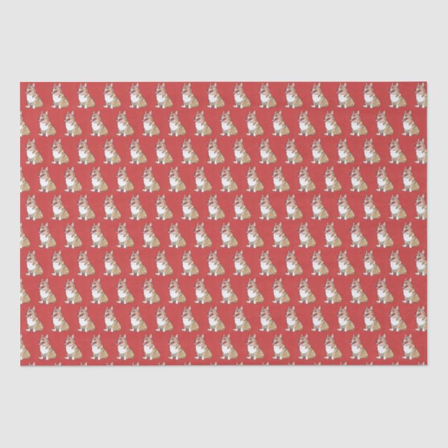 Niedliches Corgi Dog-Muster auf rotem Hintergrund Seidenpapier (Vorderseite)
