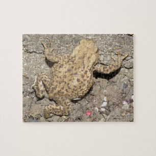 Niedliches Crawling Toad Puzzle