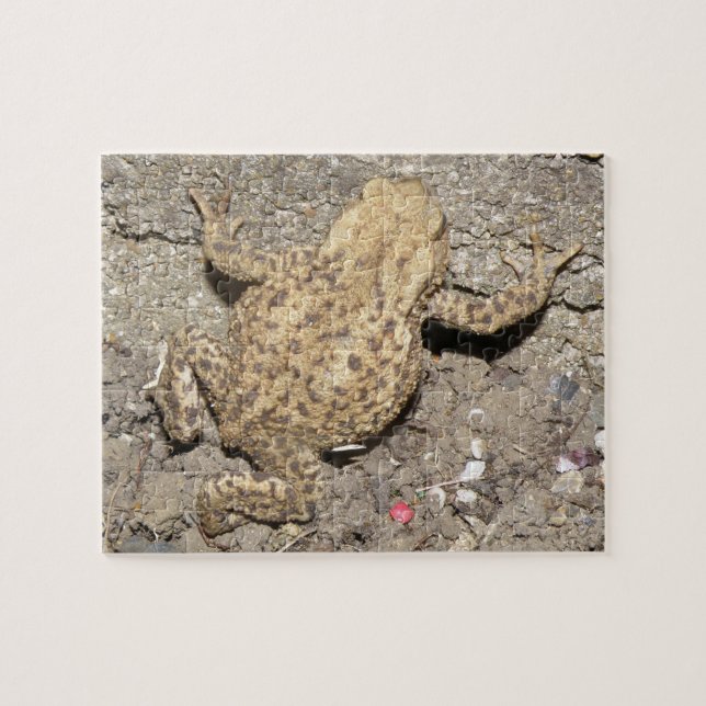Niedliches Crawling Toad Puzzle (Horizontal)