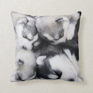 niedliches cuddly heiseres Welpenkissen n Kissen