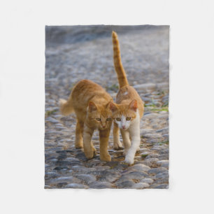 Niedliches Cudly Cat Kittens Friends Stony Path Fo Fleecedecke