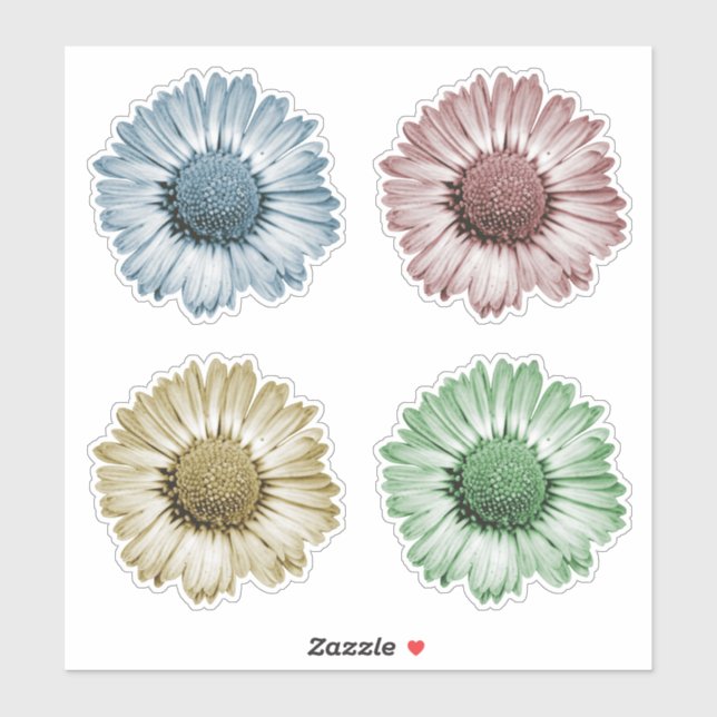 Niedliches Daisy Blume Heads Set Vier Farbaufklebe Aufkleber (Blatt)
