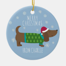 Niedliches Daschund Foto Weihnachten